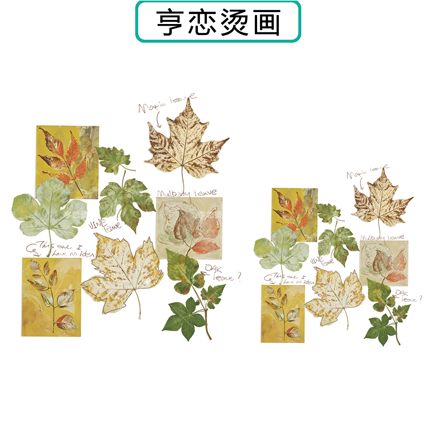 多巴胺枫叶标签英文图案热转印装饰胶印辅料高弹白墨胶印烫画贴