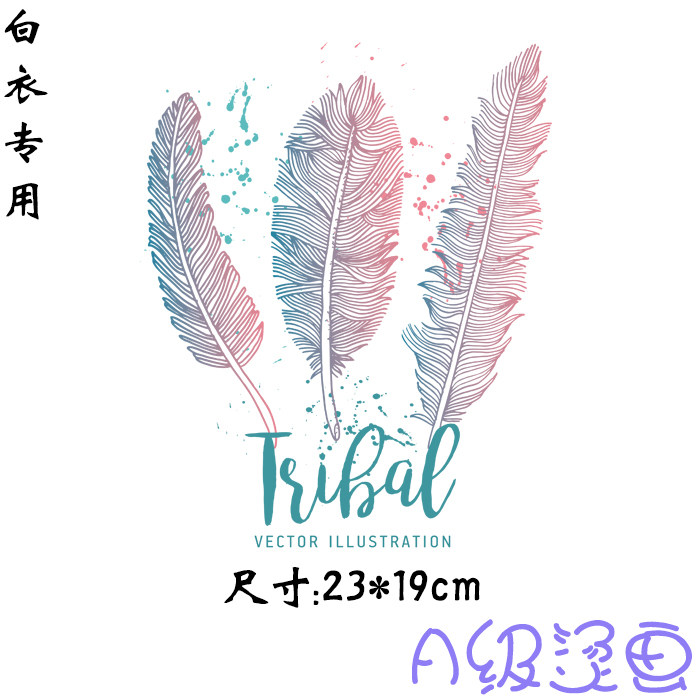 个性羽毛字母T恤衣服胶印辅料装饰贴A级过粉高弹热转印贴印花烫画