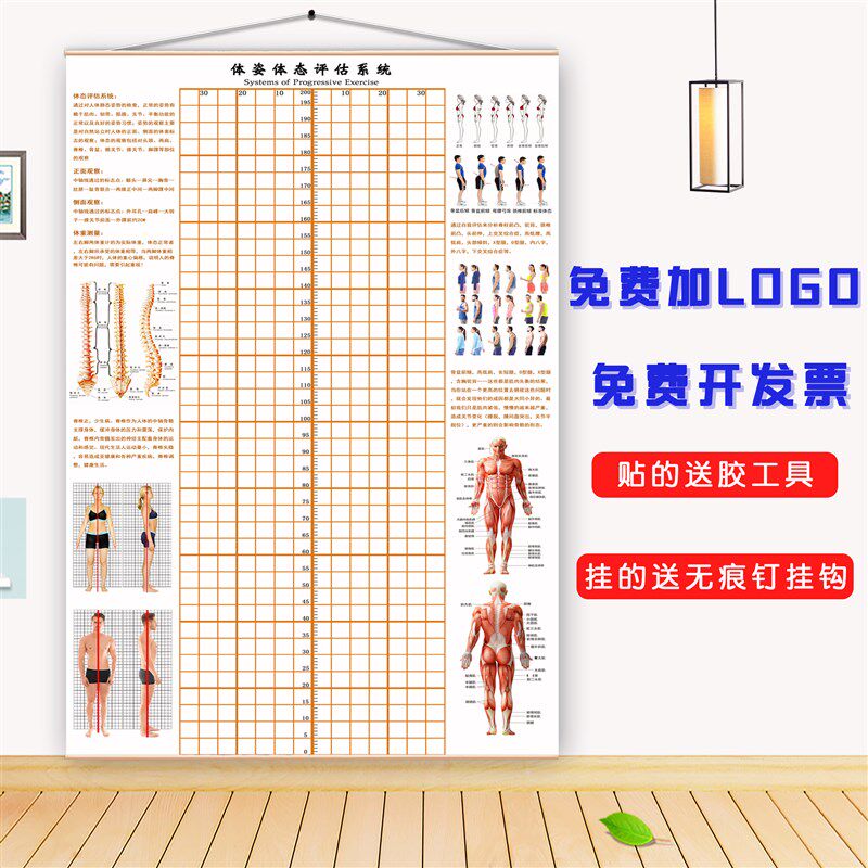 现货速发体态评估图健身房体测表瑜伽私教身体形体测评脊椎修复墙