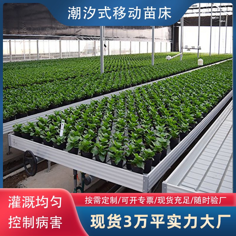 速发温殖连栋大棚潮汐育动床种植移苗苗床网片蔬菜暖棚养室架子