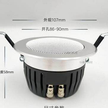 速发天壹号寸吸顶定阻迷庭背景音乐悬吊式天花板式家你新花同轴