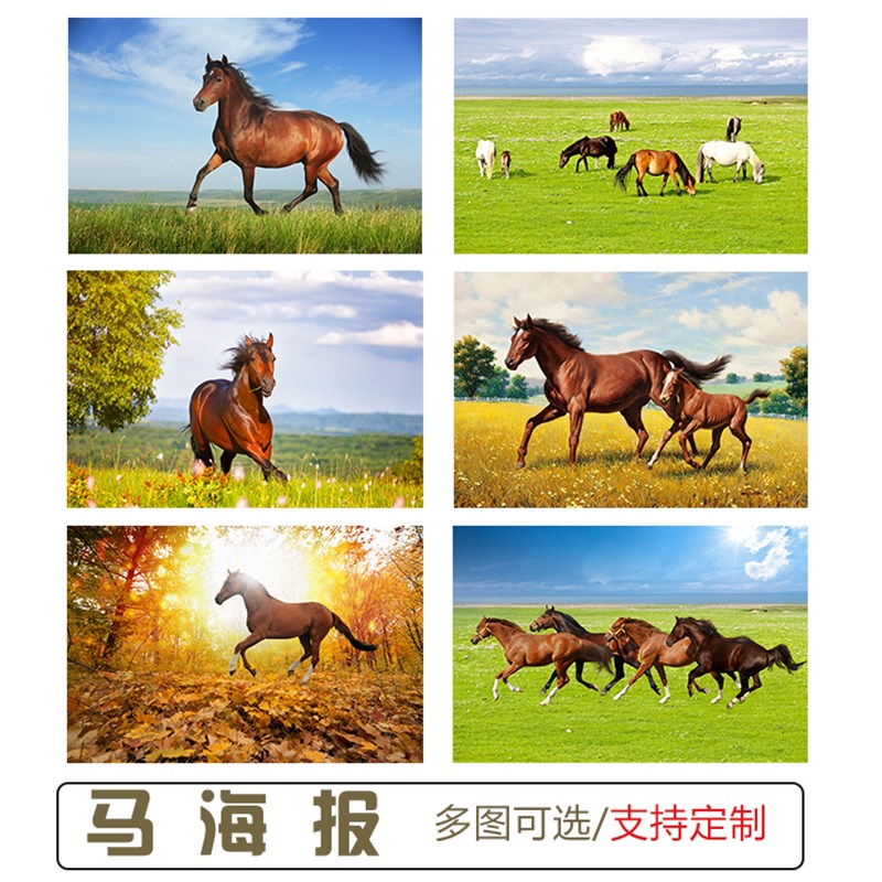 速发马画骏室图贴画策马办马公客厅马到成功招财图挂画自粘画