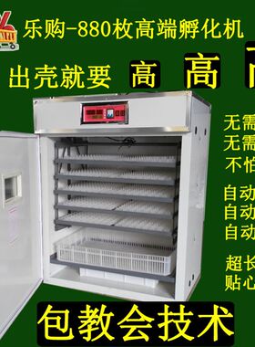 速发厂家鹅蛋孵化机双孵化设备乌骨鸡种蛋抱化器大型孵化机孵化鸭