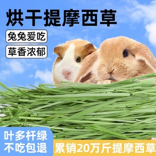 速发提摩食草段干草兔子饲草西用兔粮粮料豚鼠猪的提莫西牧草