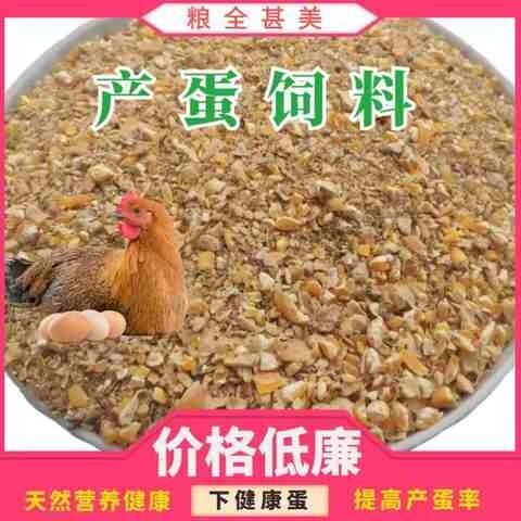 速发80斤鸟类野钓散养雏禽中鸡饲料颗粒小鸡仔饲料鹅鸭养殖草鸡家