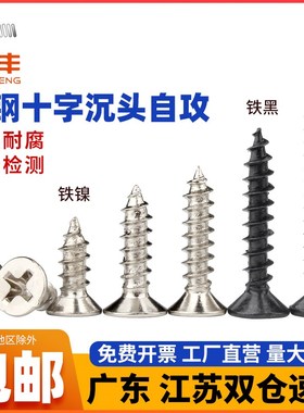 速发丝镀镍/黑色平螺自攻头丝钉加长十字沉头自攻螺钉木螺铁4M5