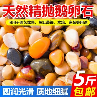 速发石卵石石色户外庭院鱼缸造景铺地雨花鹅大号彩头盆栽铺面通用