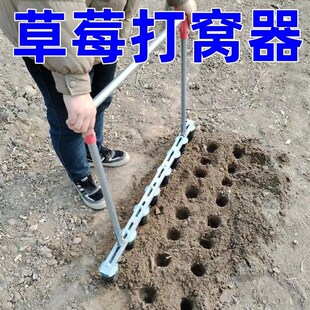 速发草器打窝莓打孔器打眼莓大棚栽草莓种草器农具种草莓神器