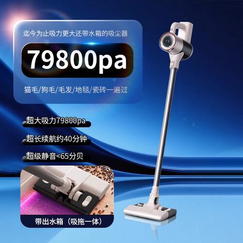 德国吸尘器无线吸拖一体机110v