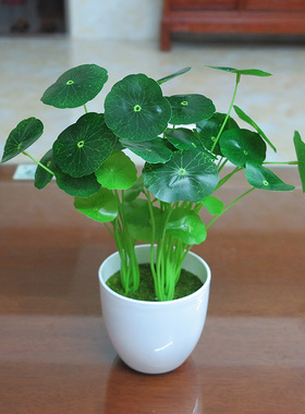 仿真花清新绿植盆栽三叶草幸运草