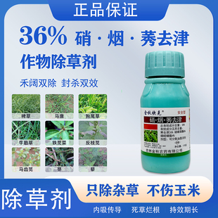 金秋快克玉米地除草专用剂安全型不伤玉米除草封草莠去津烂根剂