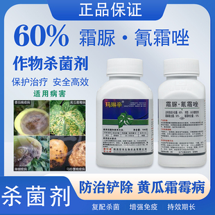 恒田玛琳辛60%霜脲 氰霜唑黄瓜番茄马铃薯晚疫病霜霉病农药杀菌剂