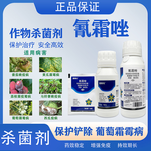 氰霜唑100克/升黄瓜西瓜荔枝草莓葡萄霜霉病番茄早晚疫病杀菌剂药