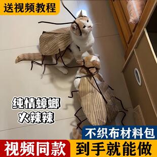 宠物蟑螂服猫猫衣服搞怪cos螂的诱惑装扮道具手工diy扭扭棒材料包