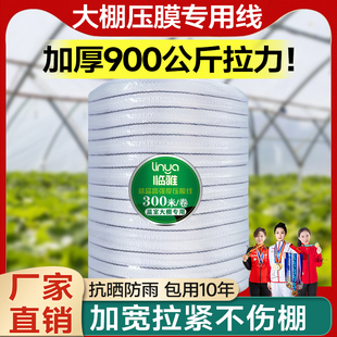 速发温棚专用压膜绳加厚绳子绳压磨耐膜线大室配件压膜绑带抗老化
