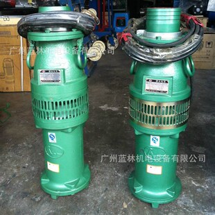 速发防爆泵 YB潜水泵化工不锈钢耐腐蚀潜水电Q QY40 上海人