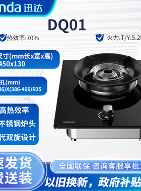 迅达DS503新国标Q01家用节能单灶猛火天然液化气台嵌两用煤气炉具