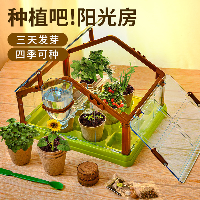 种植阳光房儿童植物观察窗科答鸭