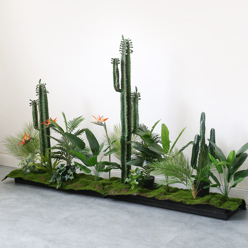 速发仙人掌柱盆栽厅植造景套装橱窗餐挡花槽花箱隔断遮绿假植物