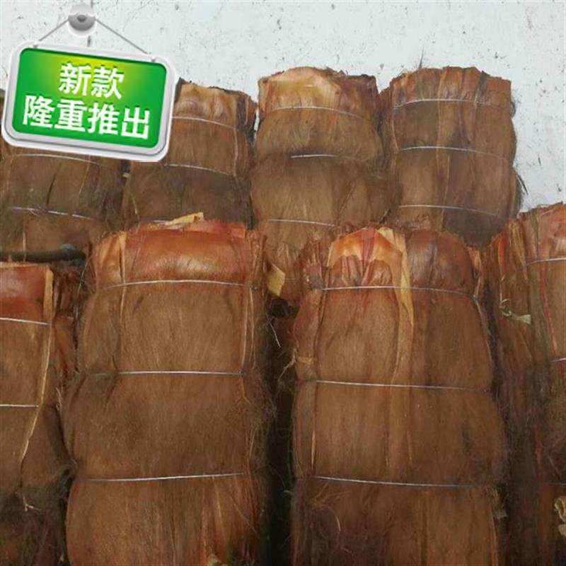 现货速发棕榈绿萝装饰棕树皮棕衣棕毛衣棕丝棕片棕皮棒椰棕柱棕r