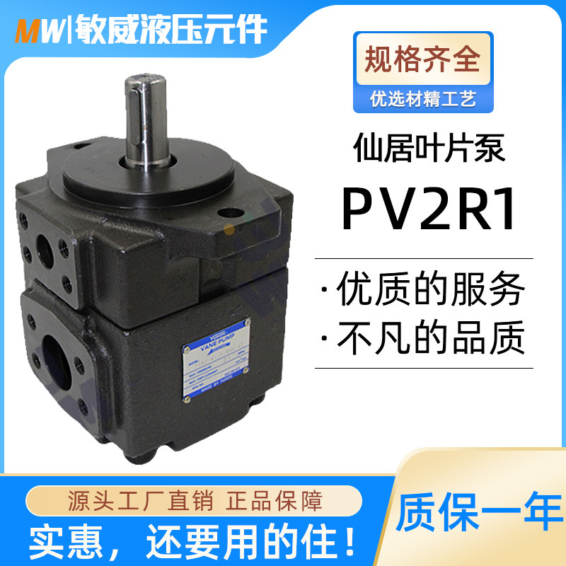 速发液压油v永灵叶片泵泵V2R1液压P总成全定量高压齿轮泵配件p泵2