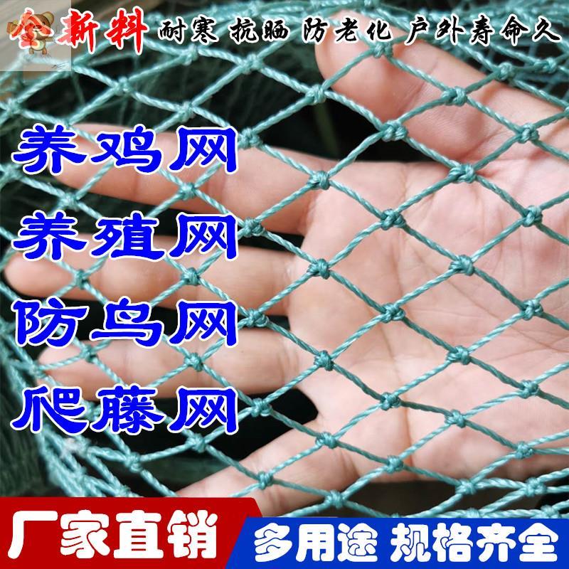 速发胶网鸡养围栏网养殖网围小鸡新型小孔手绳网子防盗养殖鸡防晒