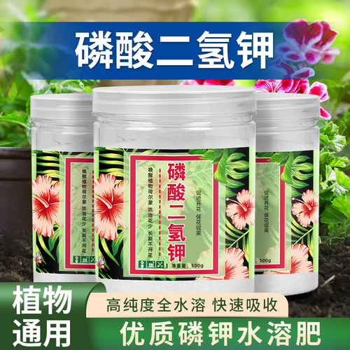 速发养酸二氢钾肥料花专卉用叶面肥农用花肥料磷花水溶肥营养开花
