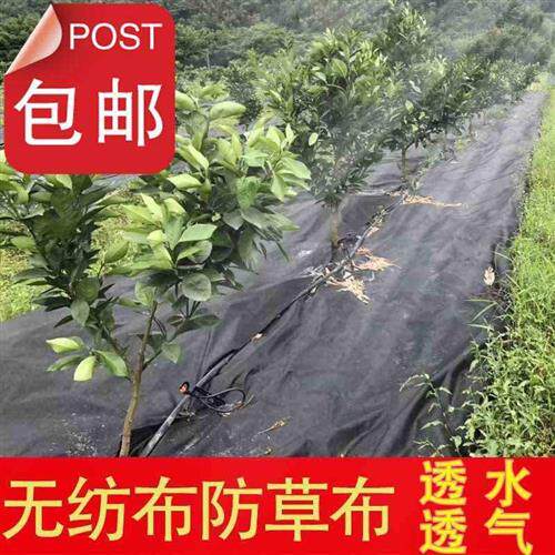 现货速发单张无纺布大棚防草布果园盖草园艺地膜除草垫地布新型生