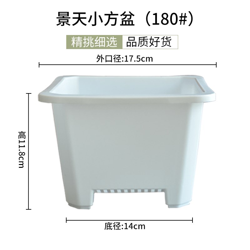 现货速发小黑方形韩式家用多肉育苗扦插方盆大白方塑料景天花盆养