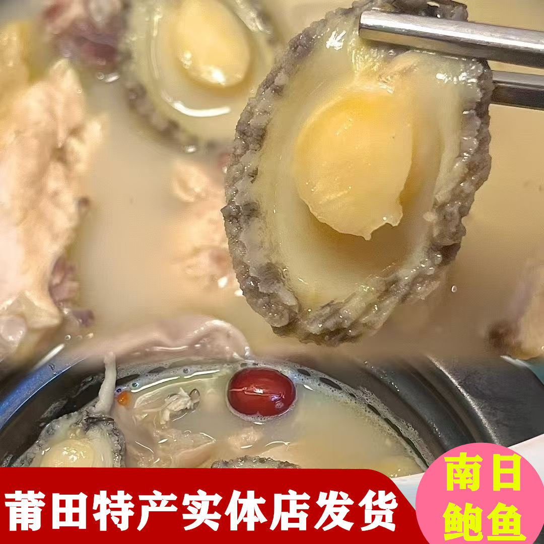 莆田特产南日岛鲜活鲍鱼大个佛跳墙食材海鲜水产滋补煲汤顺丰包邮