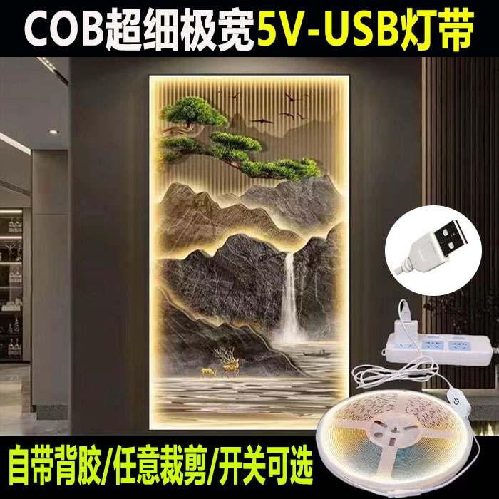 电视背景墙usb接口灯带