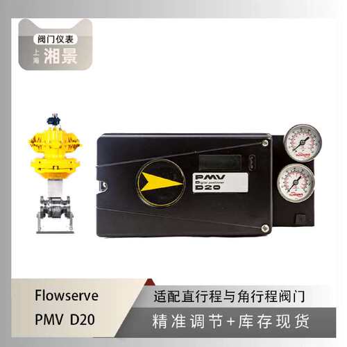议价Flowserve PMV D20 阀门定位器搭配R400 高频球阀