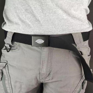 高级男士 简易dickies腰带布料自动扣头女设计感小众 帆布皮带男款