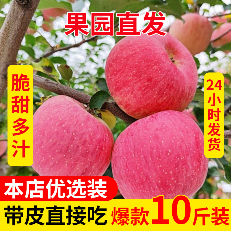 陕西延安水果苹果冰糖心脆甜多汁