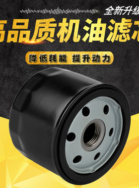 cyleto适配宝马C400GT C400X C600 C650 C650GT光阳AK550机油滤芯