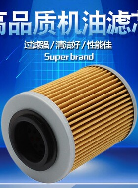 Cyleto适配香帅700摩瑞900小太子650 MV800机油机滤滤清器机油格