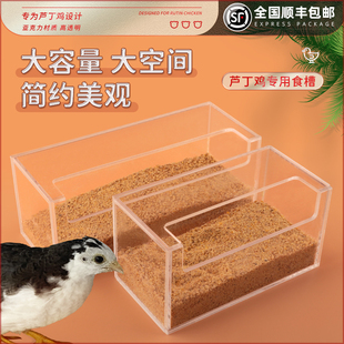 芦丁鸡自动喂食器小鹌鹑喂水器网红鸡用品食盒饮水器盒水槽投食器