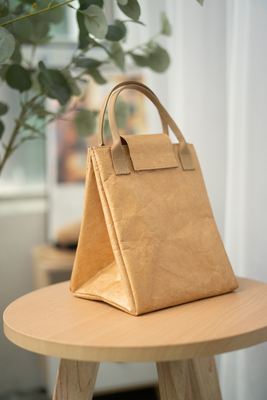 杜邦纸袋定做logo水洗手提购物