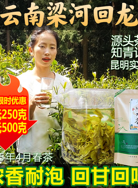 云南梁河回龙茶叶绿茶2025新茶德宏滇绿袋装浓香回甘炒青绿茶