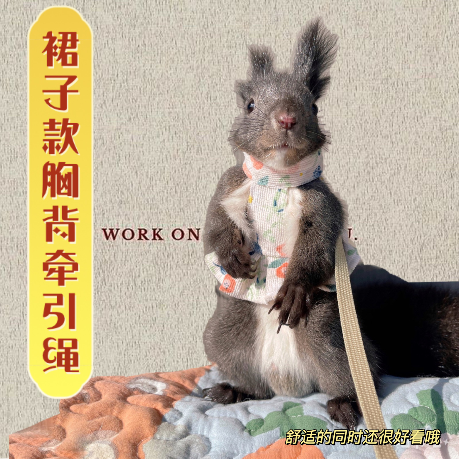 牵引绳胸背宠物小衣服异宠外出
