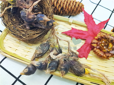 【鼠与你】松鼠蜜袋鼯飞鼠增肥冻干鹌鹑小蜜零食互动爱吃食物