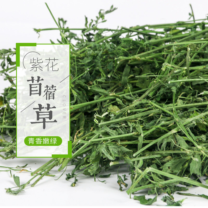 优质紫花苜蓿草大叶新鲜 荷兰猪龙猫兔子烘干牧草干饲料带箱1kg