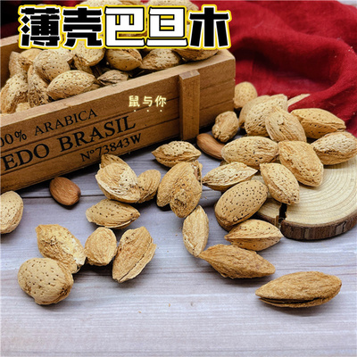 巴旦木生鲜松飞鼠小宠物食物啃咬