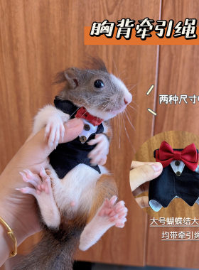 DIY牵引绳舒适衣服支持定制