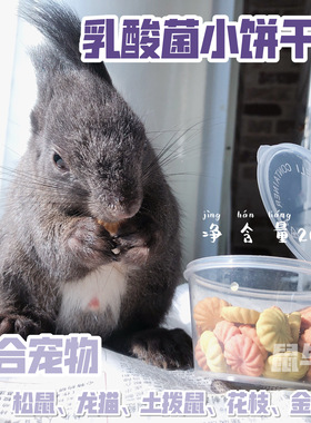 乳酸菌彩色营养小饼干松鼠龙猫蜜袋鼯仓鼠零食花枝鼠互动爱吃零食
