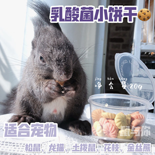 乳酸菌彩色营养小饼干松鼠龙猫蜜袋鼯仓鼠零食花枝鼠互动爱吃零食