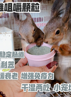 【鼠与你】营养稳定肠道 综合营养松鼠咀嚼颗粒 粗纤维营养粉 50g