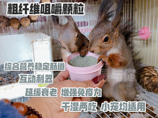 粗纤维营养粉 综合营养松鼠咀嚼颗粒 营养稳定肠道 50g 鼠与你