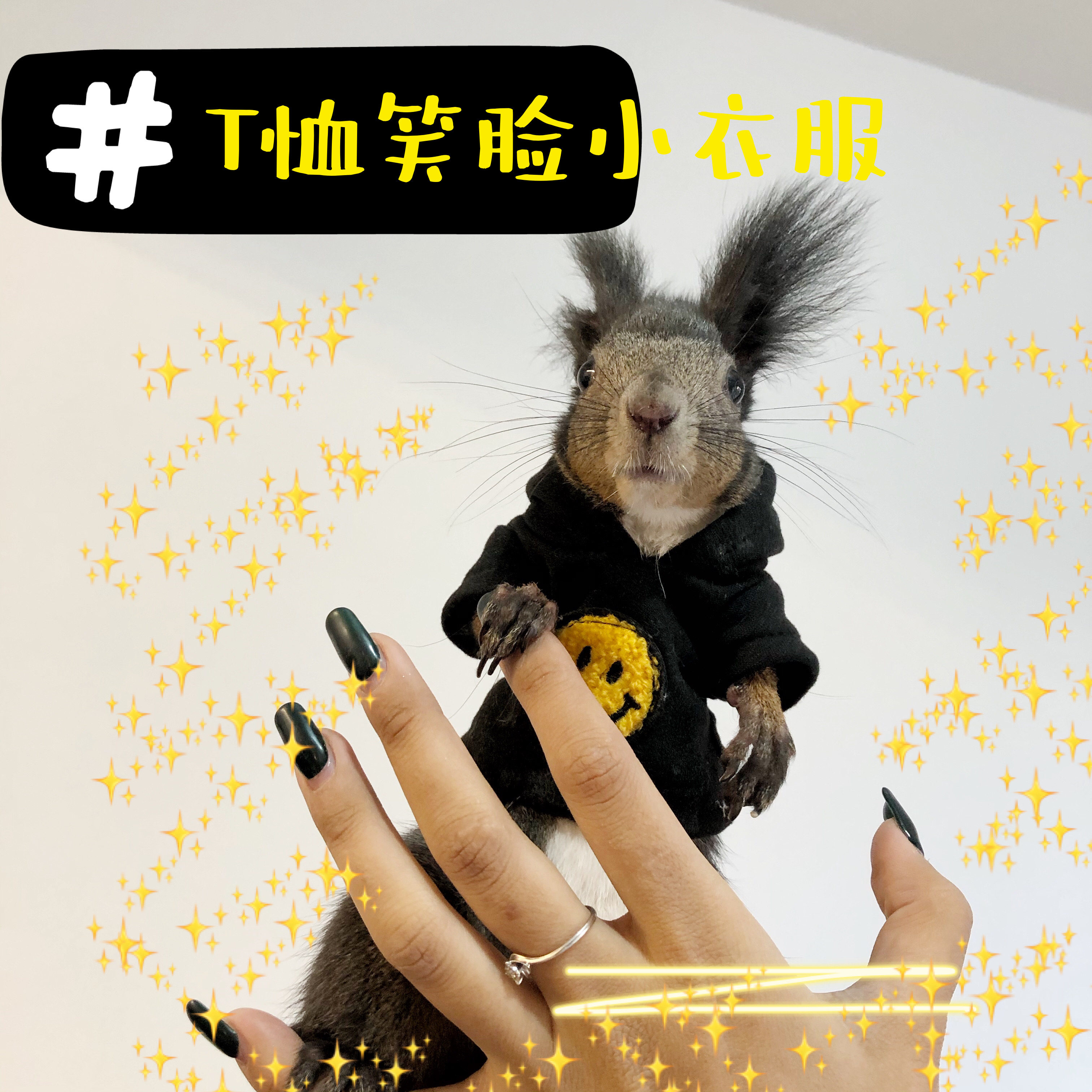 松土拨鼠衣服可爱拍照小笑脸衣服保暖卖萌纯手工小松鼠用品外出带