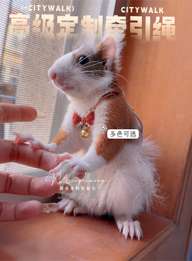 牵引绳分体多款松鼠狐獴丁满装饰款胸背外出高端定制纯手工蝴蝶结